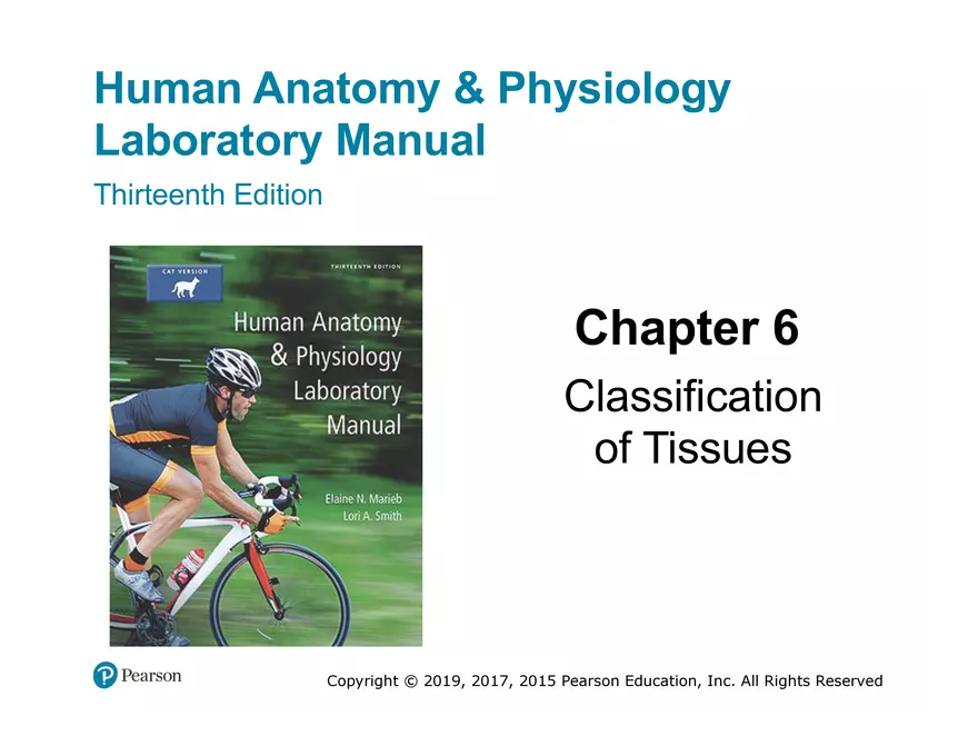 Exercise #6 Classification of Tissues - Epithelial Tissue - Page 1