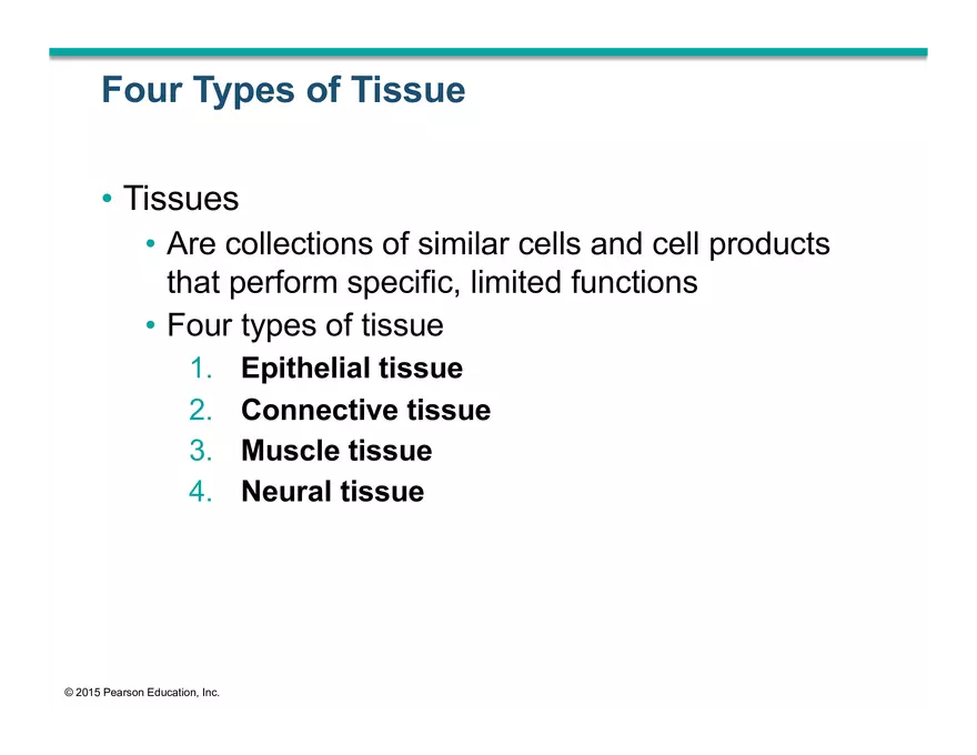 Exercise #6 Classification of Tissues - Epithelial Tissue - Page 46