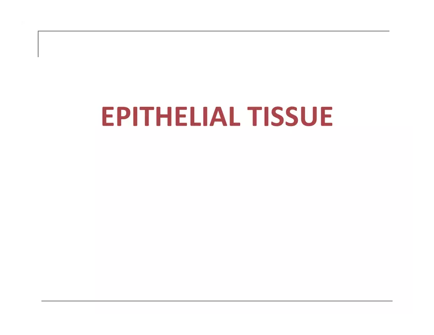 Exercise #6 Classification of Tissues - Epithelial Tissue - Page 61