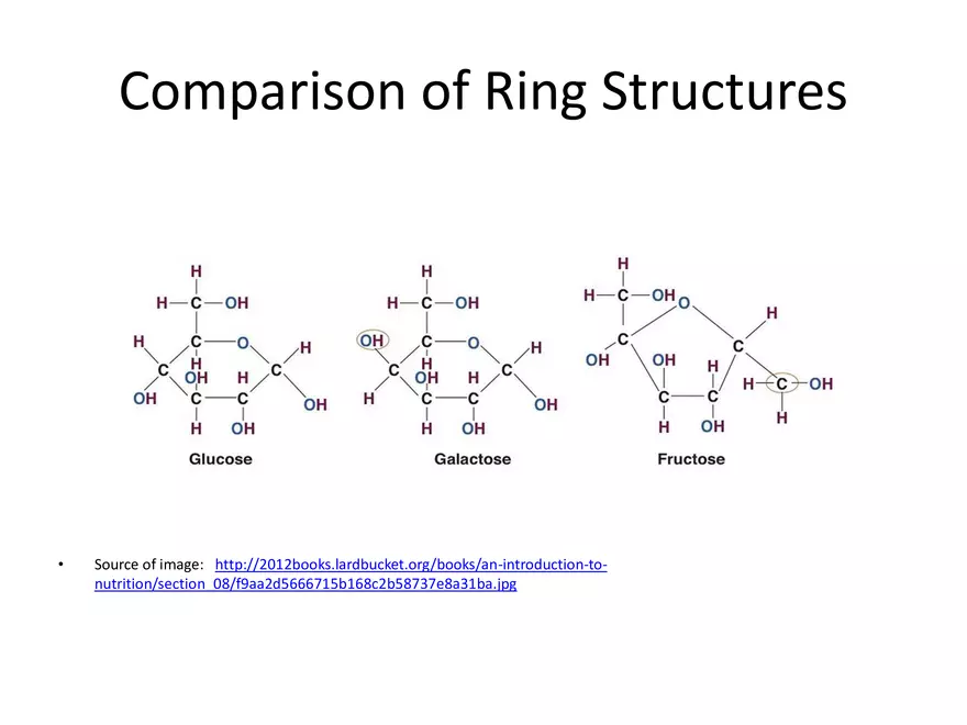 Biologically Important Molecules - Carbohydrates - Page 13