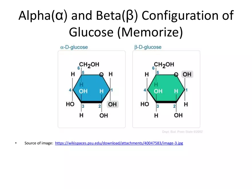 Biologically Important Molecules - Carbohydrates - Page 14
