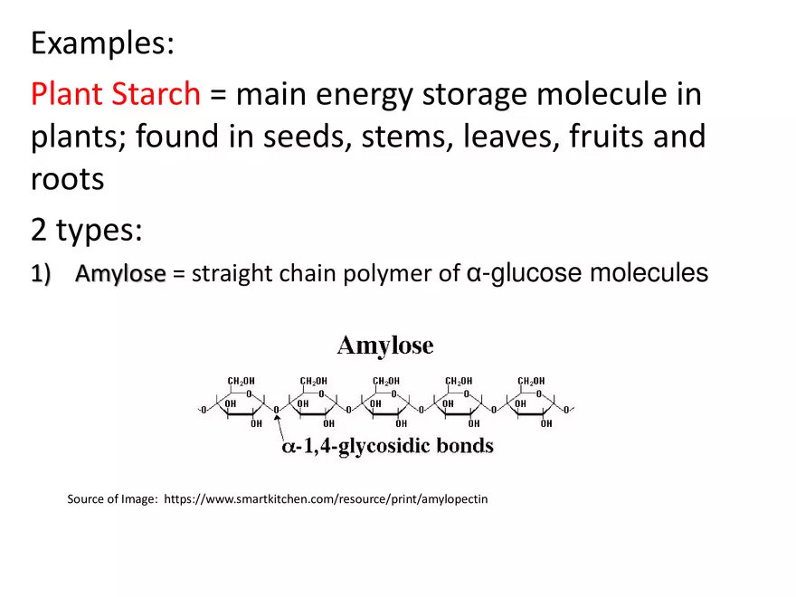 Biologically Important Molecules - Carbohydrates - Page 3