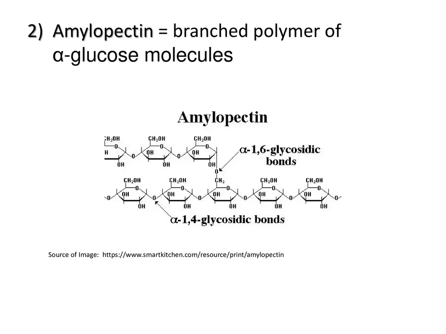 Biologically Important Molecules - Carbohydrates - Page 4