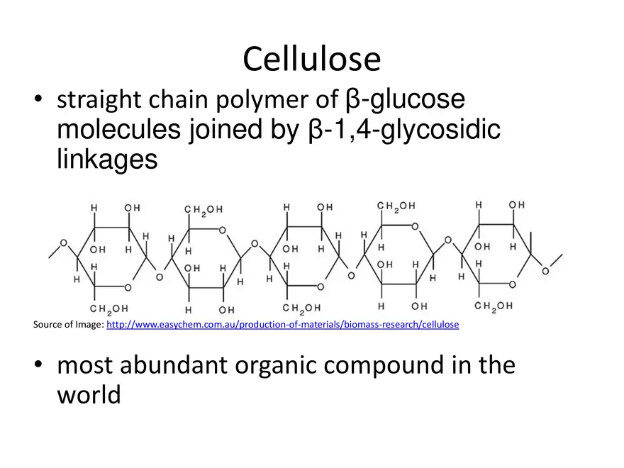 Biologically Important Molecules - Carbohydrates - Page 6