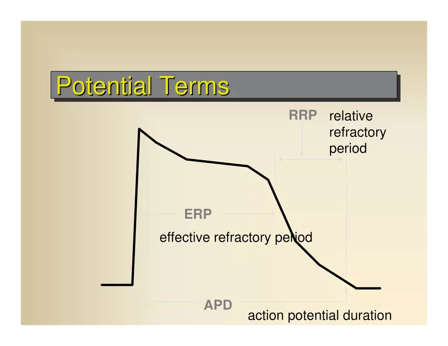 Affect the the Cardiovascular - Page 8