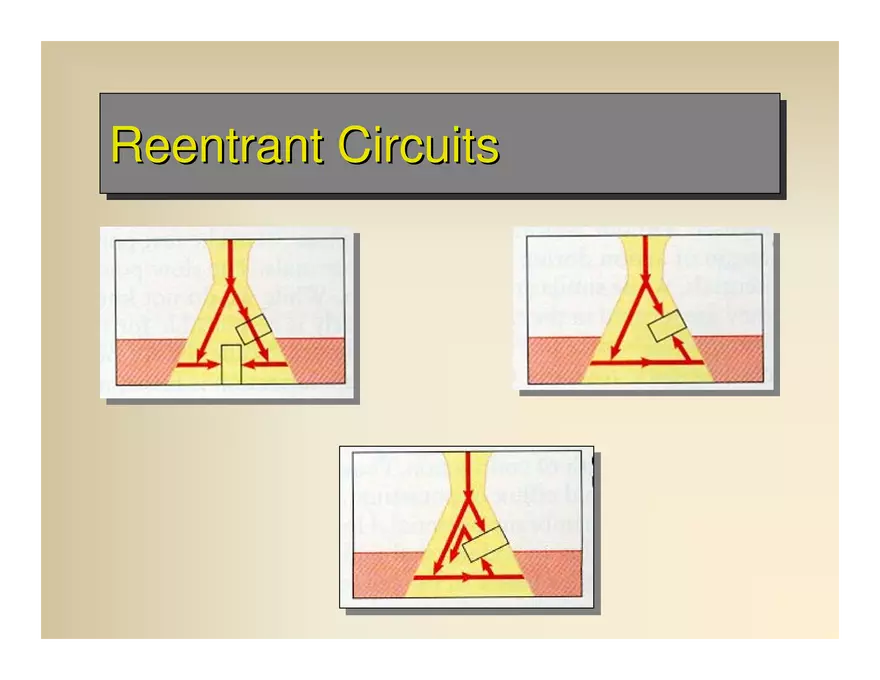 Affect the the Cardiovascular - Page 11