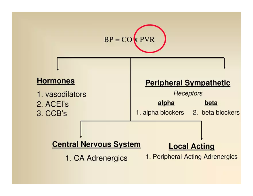Affect the the Cardiovascular - Page 31