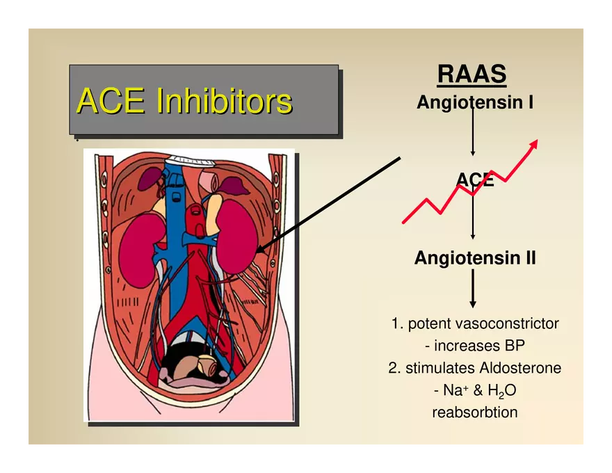 Affect the the Cardiovascular - Page 37