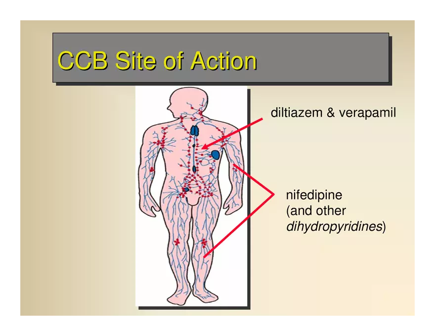 Affect the the Cardiovascular - Page 42