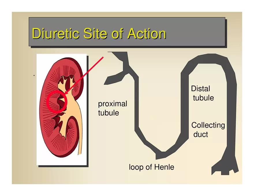 Affect the the Cardiovascular - Page 47