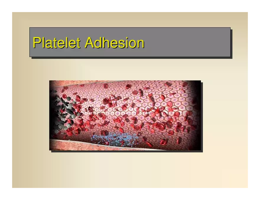 Affect the the Cardiovascular - Page 56