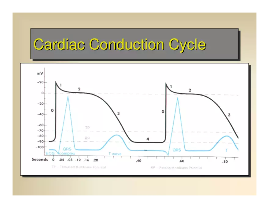 Affect the the Cardiovascular - Page 3