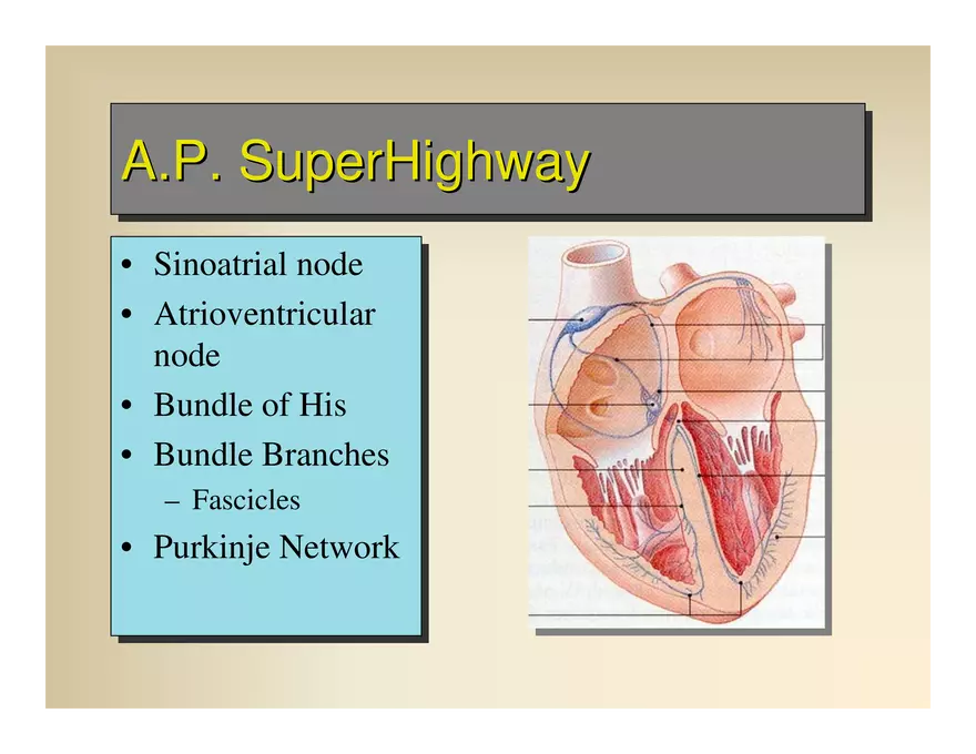 Affect the the Cardiovascular - Page 57