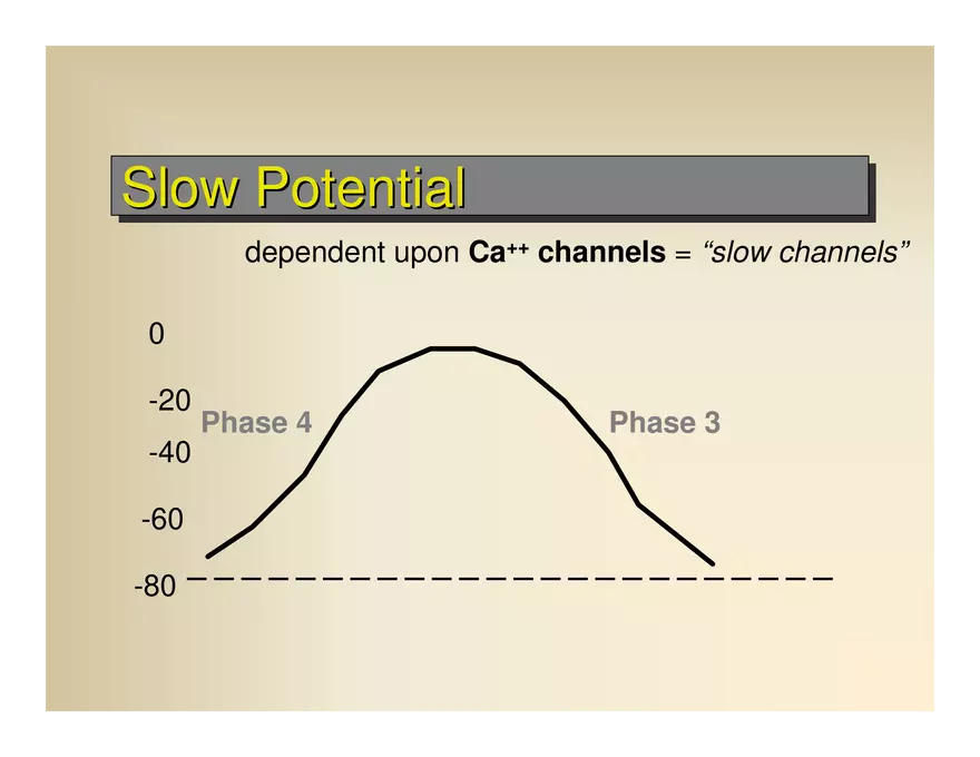 Affect the the Cardiovascular - Page 4
