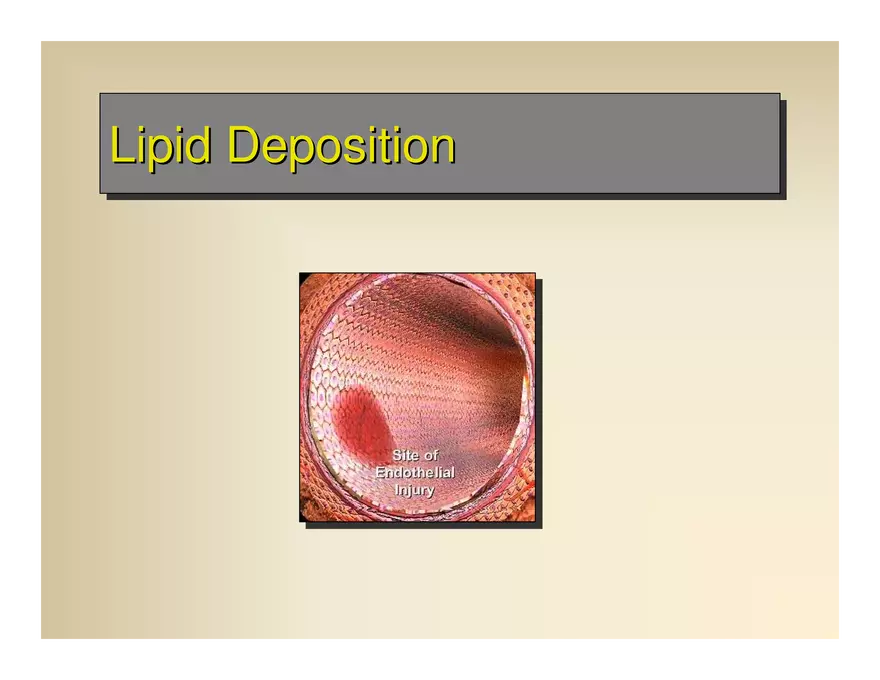 Affect the the Cardiovascular - Page 75