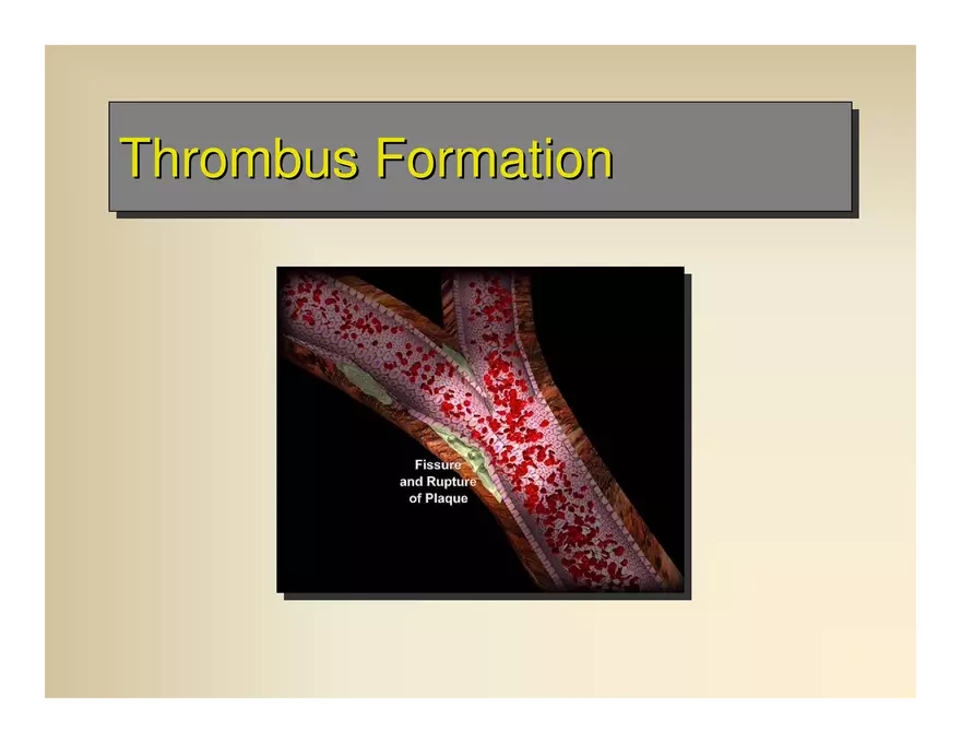 Affect the the Cardiovascular - Page 76
