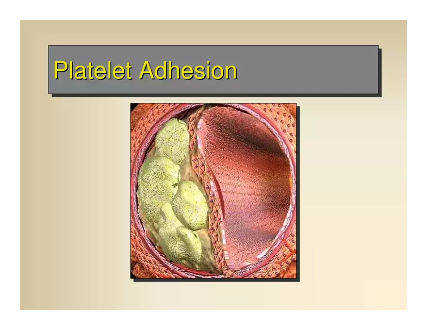 Affect the the Cardiovascular - Page 77