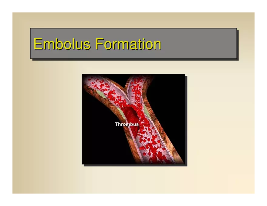 Affect the the Cardiovascular - Page 78