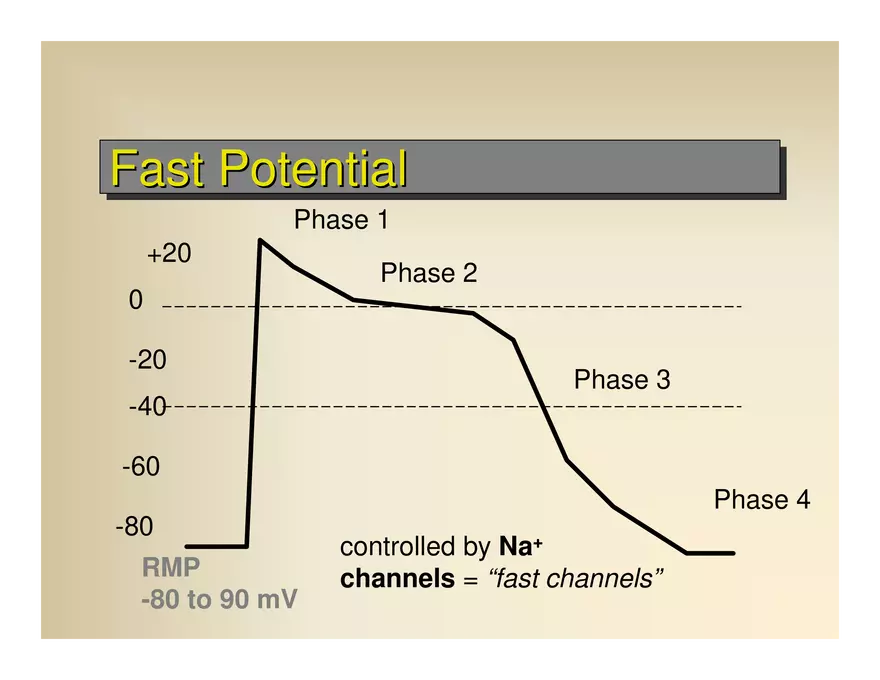 Affect the the Cardiovascular - Page 79