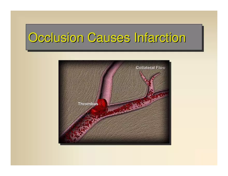 Affect the the Cardiovascular - Page 80