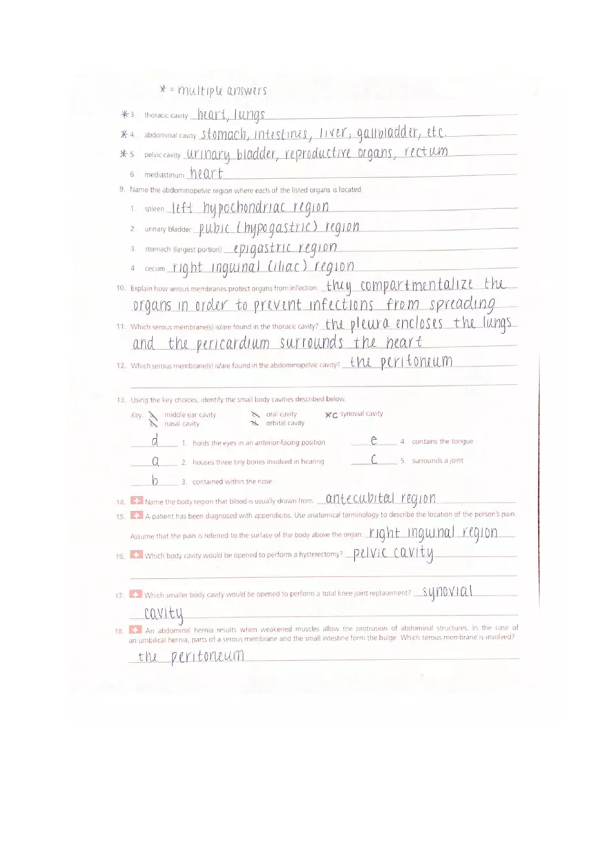 The Language Of Anatomy Review Sheet Answer Key - Page 3