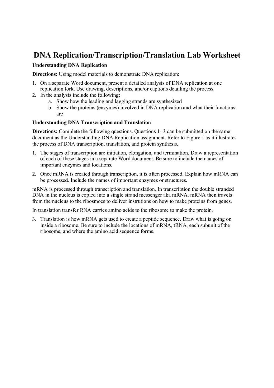 DNA Replication Transcription Translation Lab Worksheet - Page 1