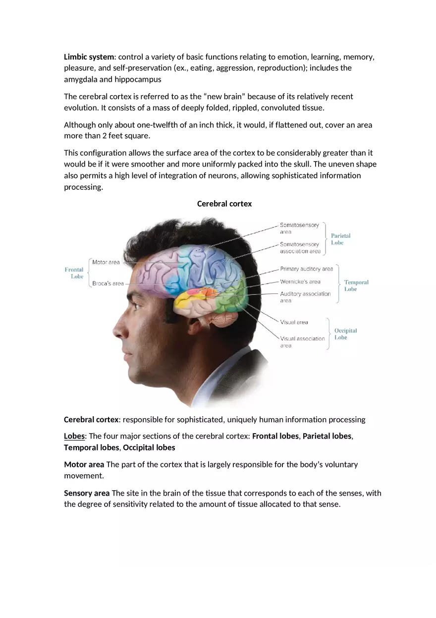 Chapter 2 Psychology Condensed Powerpoint - Page 6