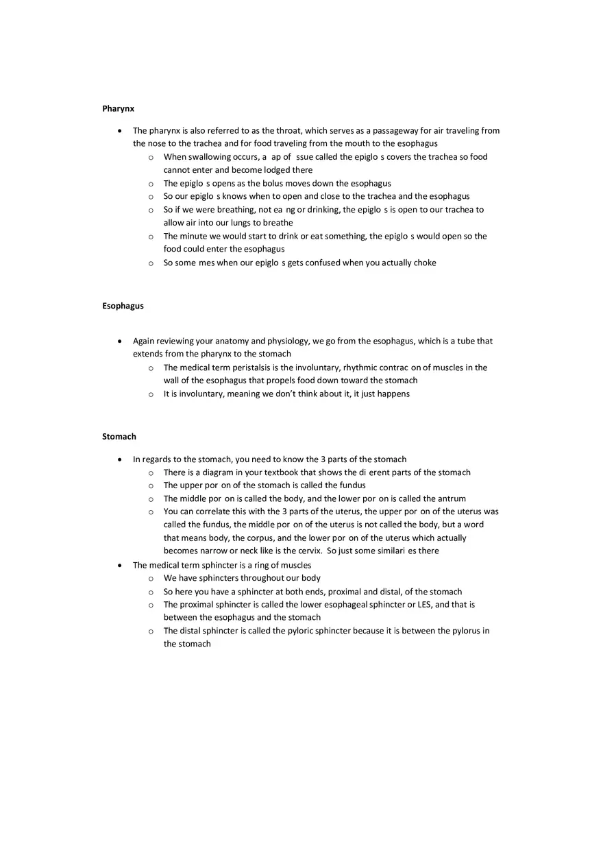 Chapter 5 Notes Digestive System - Page 2