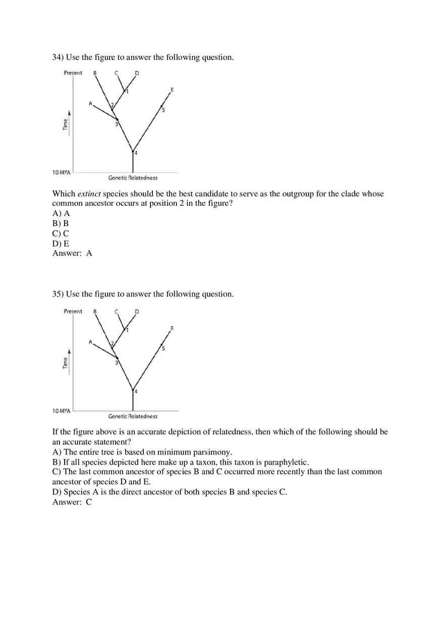 Phylogeny and the Tree of Life Part 1 - Page 9