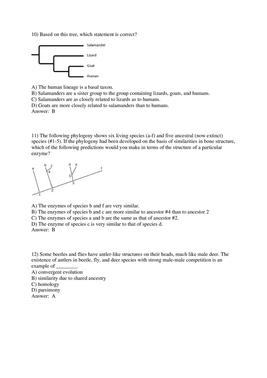 Phylogeny and the Tree of Life Part 1 - Page 13