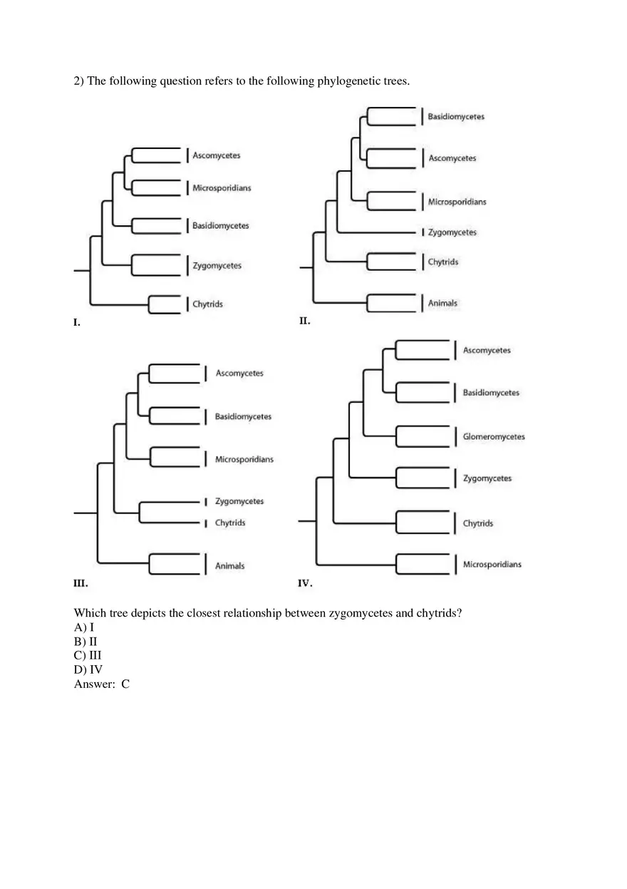 Phylogeny and the Tree of Life Part 1 - Page 2