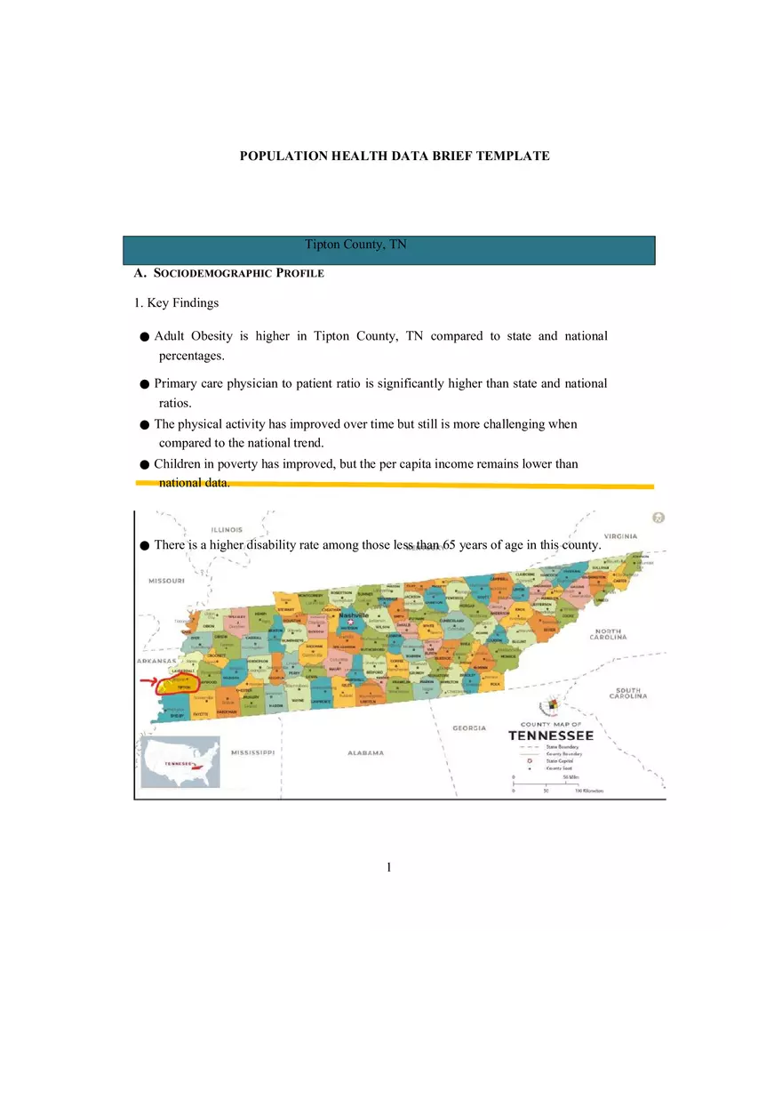 Population Health Data Brief Template - Page 1