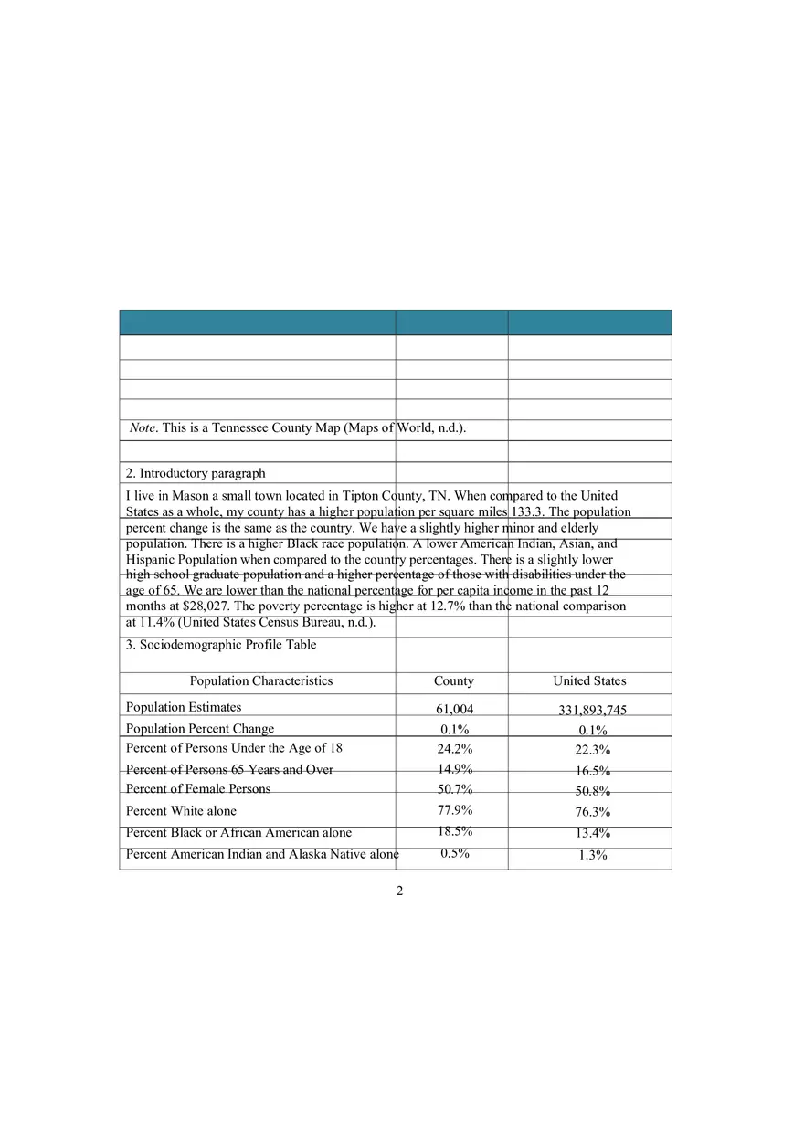 Population Health Data Brief Template - Page 2