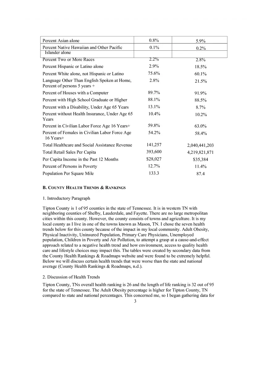 Population Health Data Brief Template - Page 4