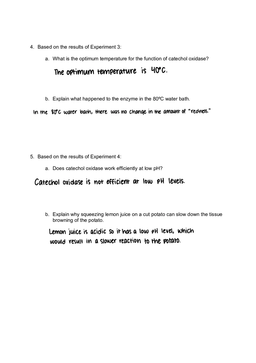 Lab 06 - Enzyme Activity - Page 8