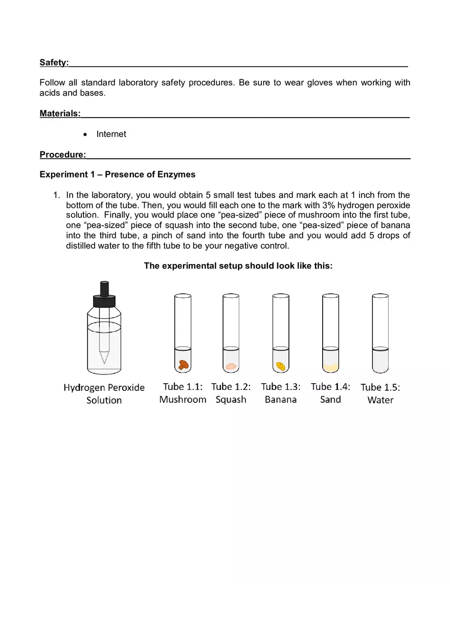 Lab 06 - Enzyme Activity - Page 9