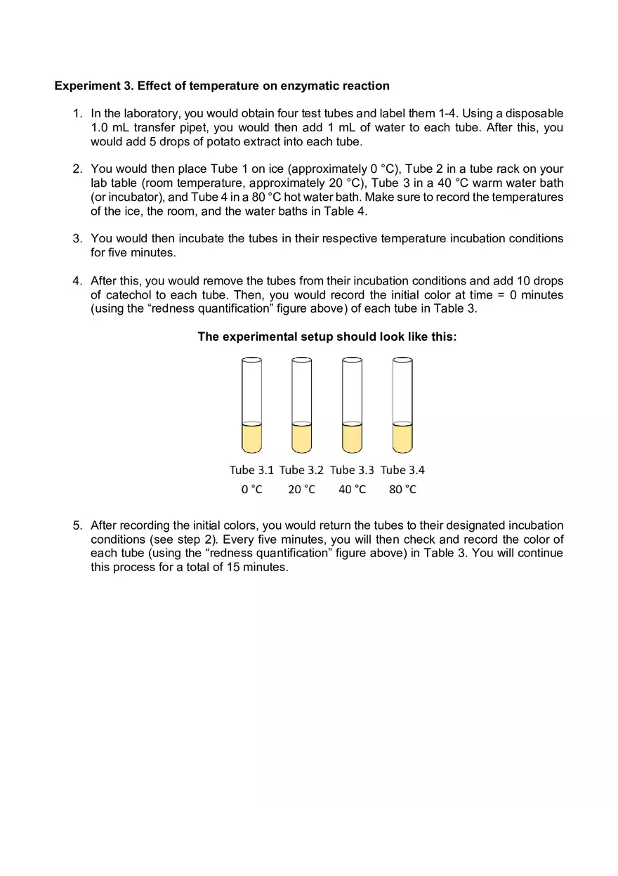 Lab 06 - Enzyme Activity - Page 13