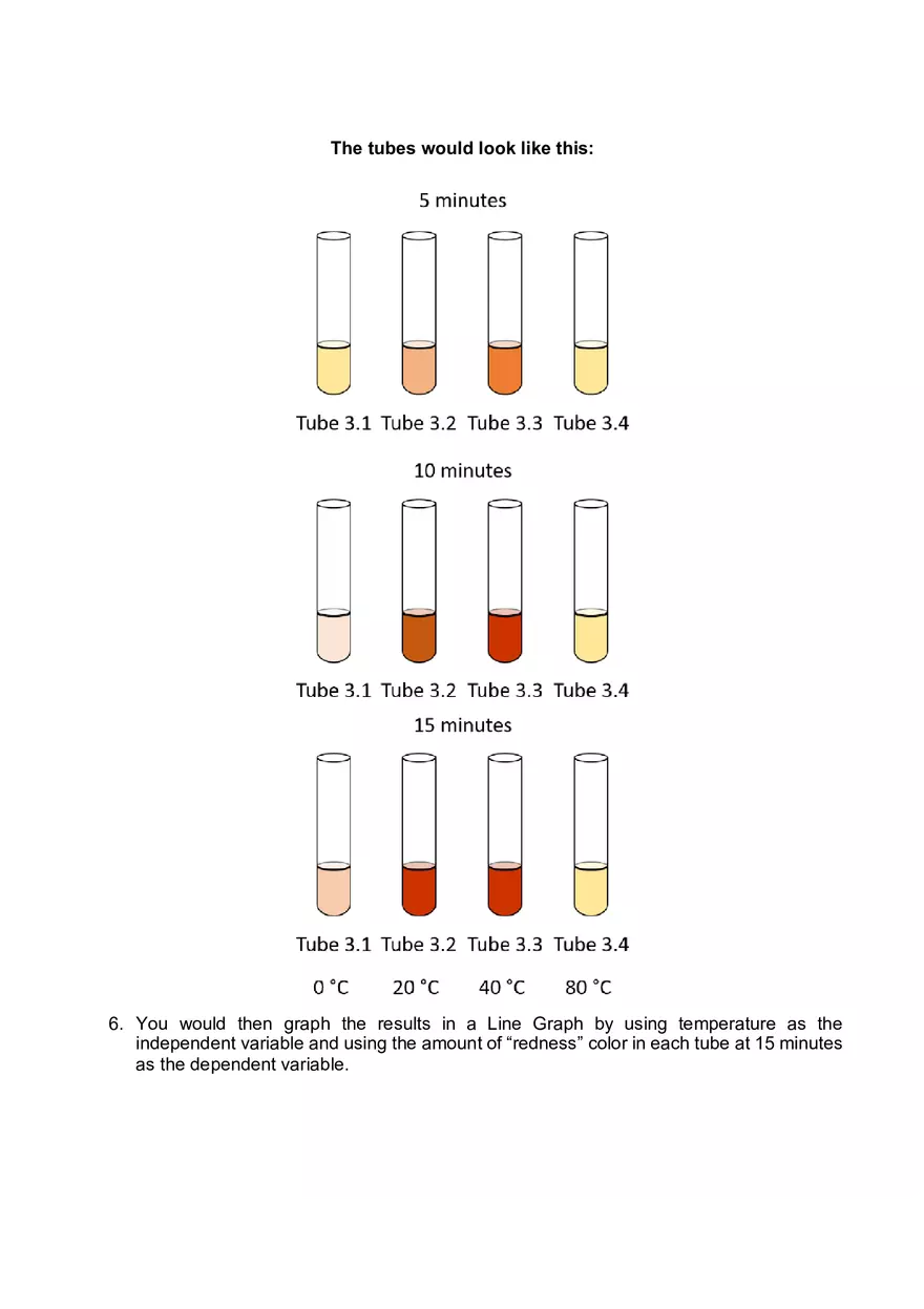 Lab 06 - Enzyme Activity - Page 14