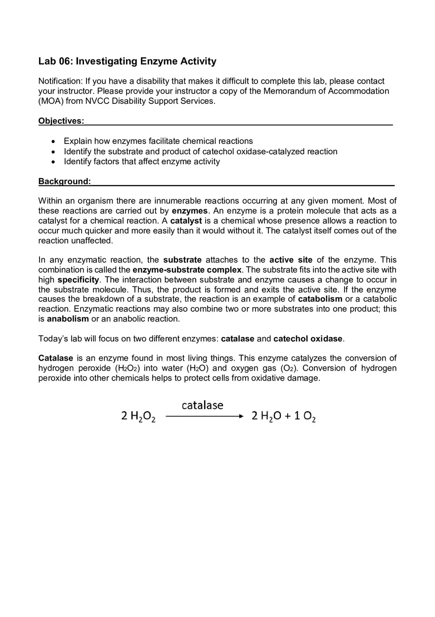 Lab 06 - Enzyme Activity - Page 1