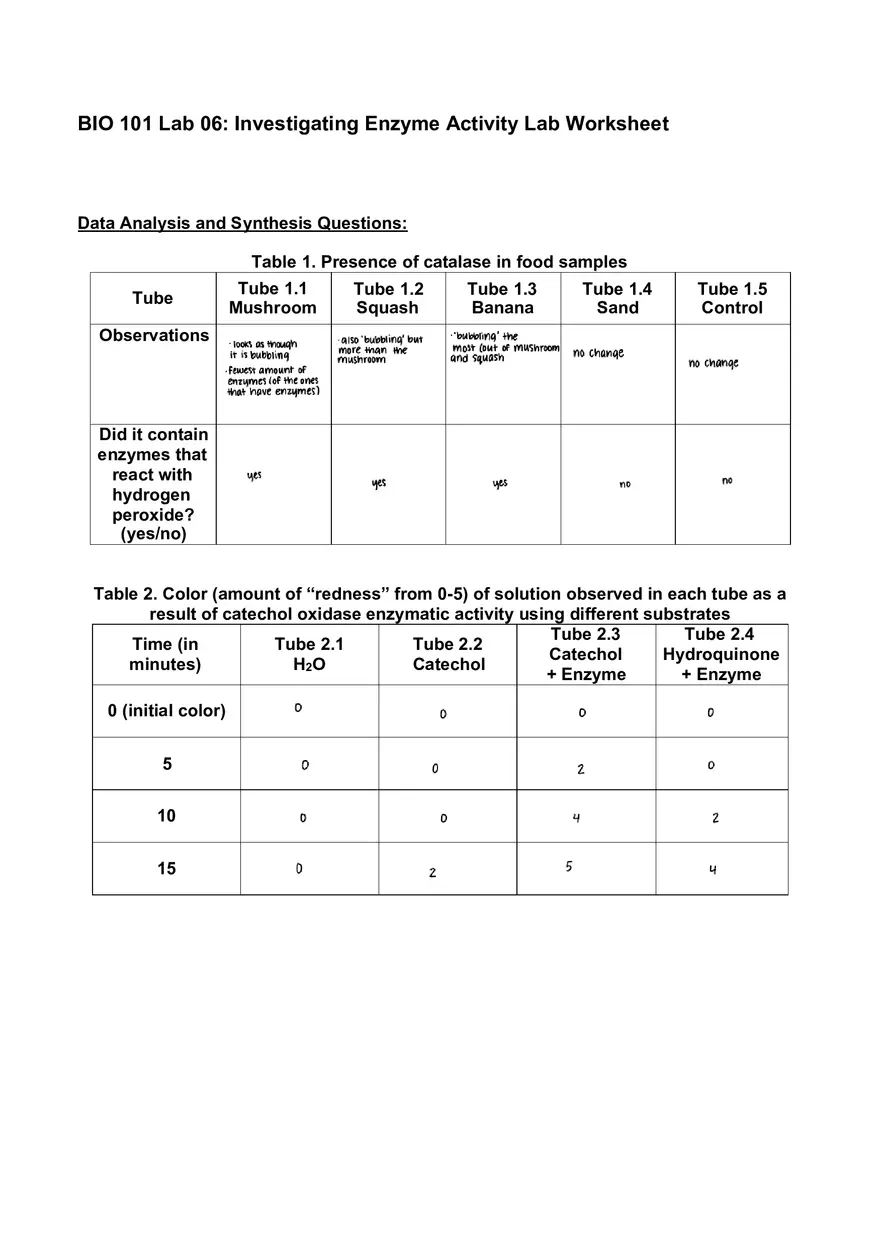 Lab 06 - Enzyme Activity - Page 3