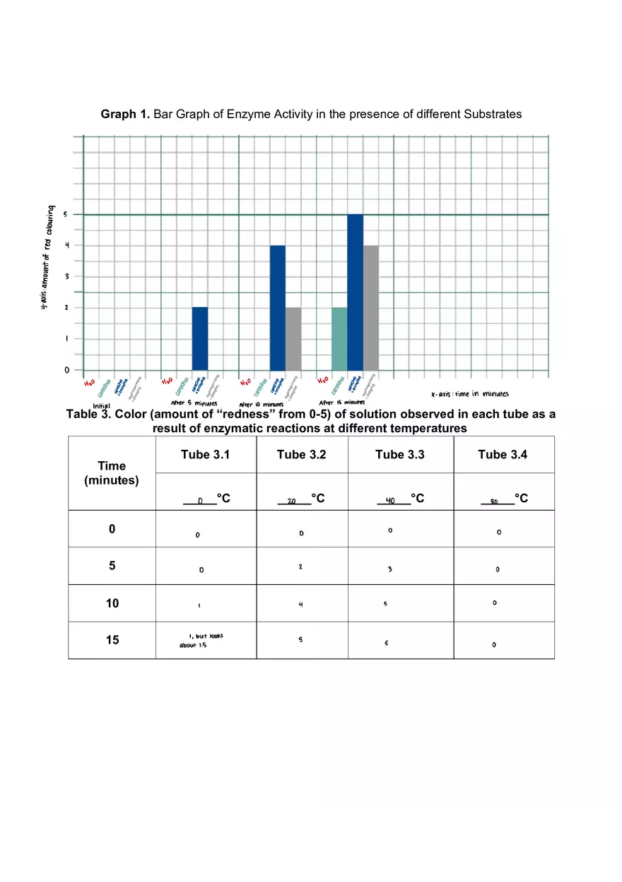 Lab 06 - Enzyme Activity - Page 4