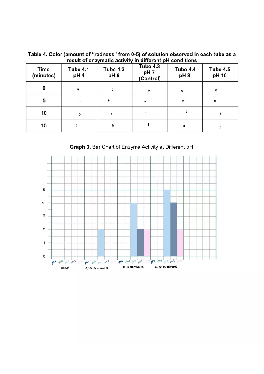 Lab 06 - Enzyme Activity - Page 6