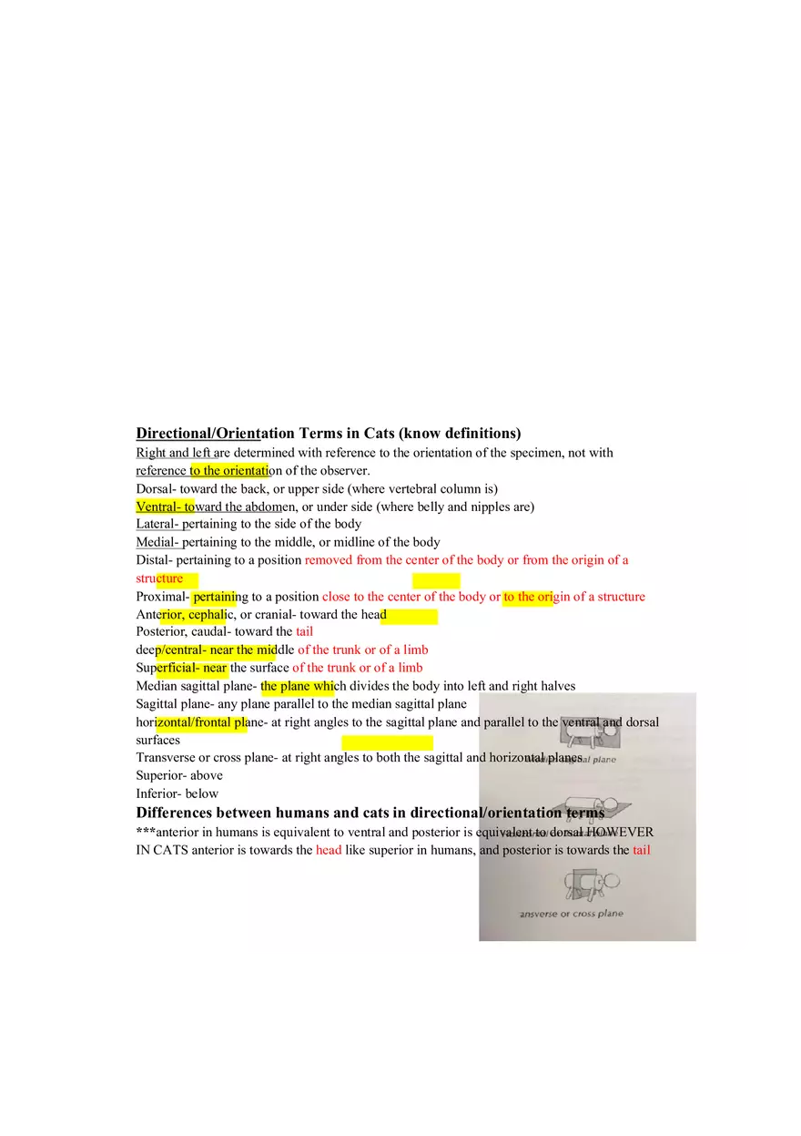 Lab 1 Quiz - Anatomy Physiology Review - Page 7