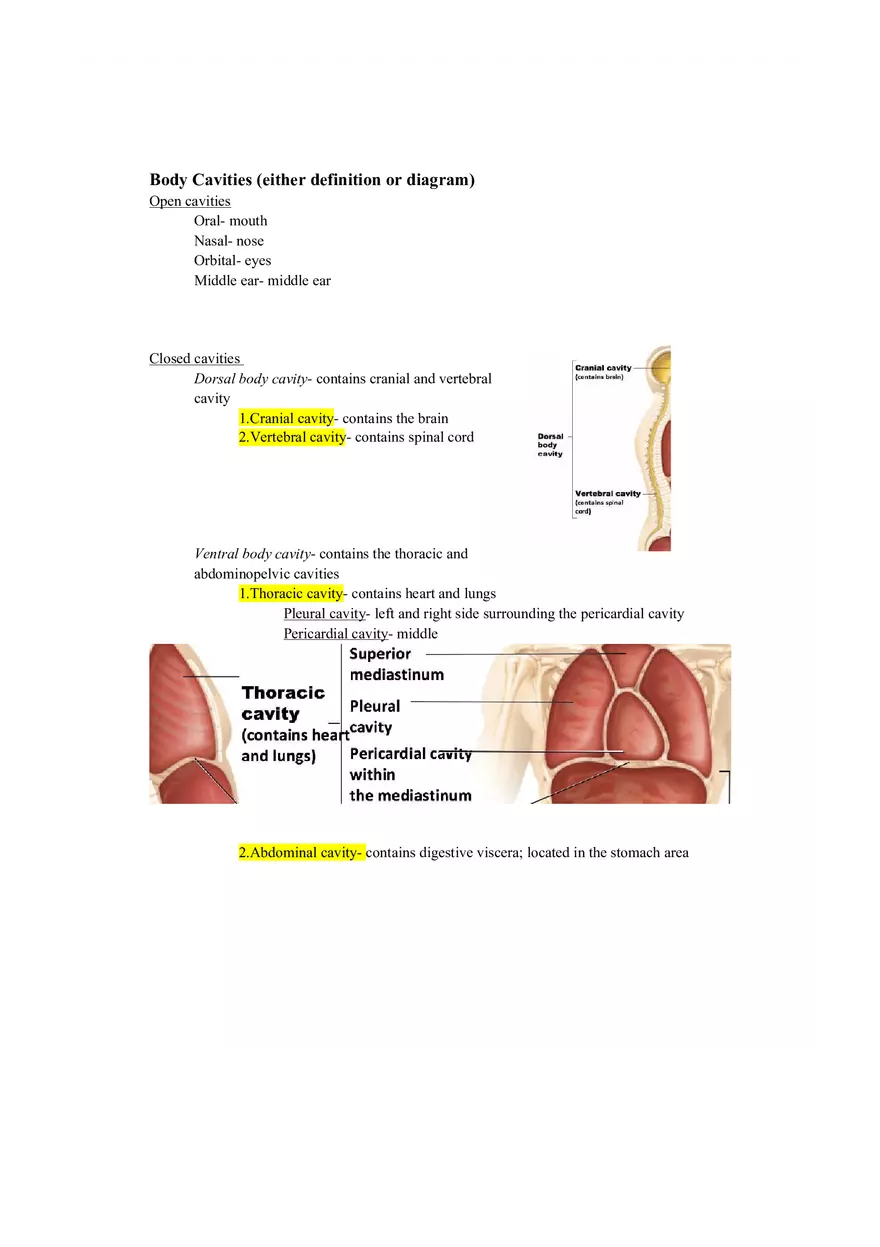 Lab 1 Quiz - Anatomy Physiology Review - Page 13