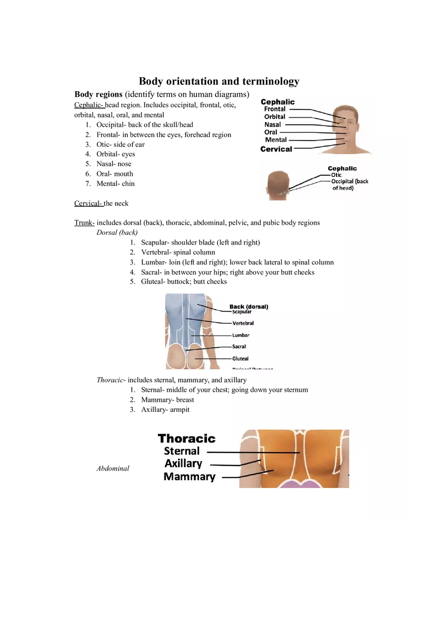 Lab 1 Quiz - Anatomy Physiology Review - Page 1