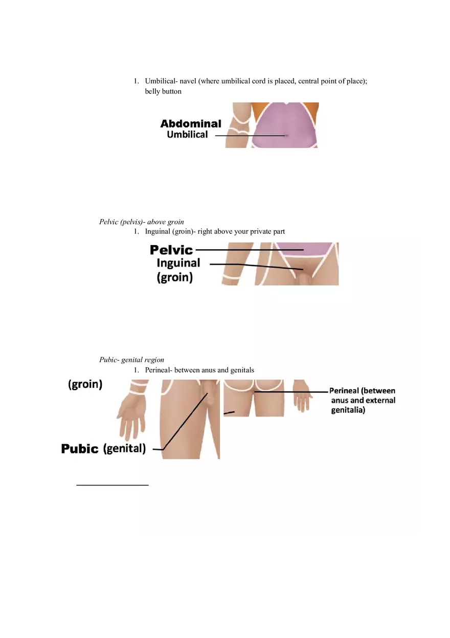 Lab 1 Quiz - Anatomy Physiology Review - Page 2