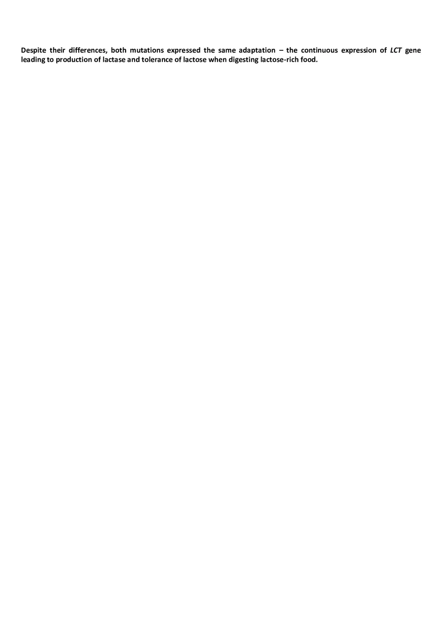 Regulation Of The Lactase Gene - Page 4