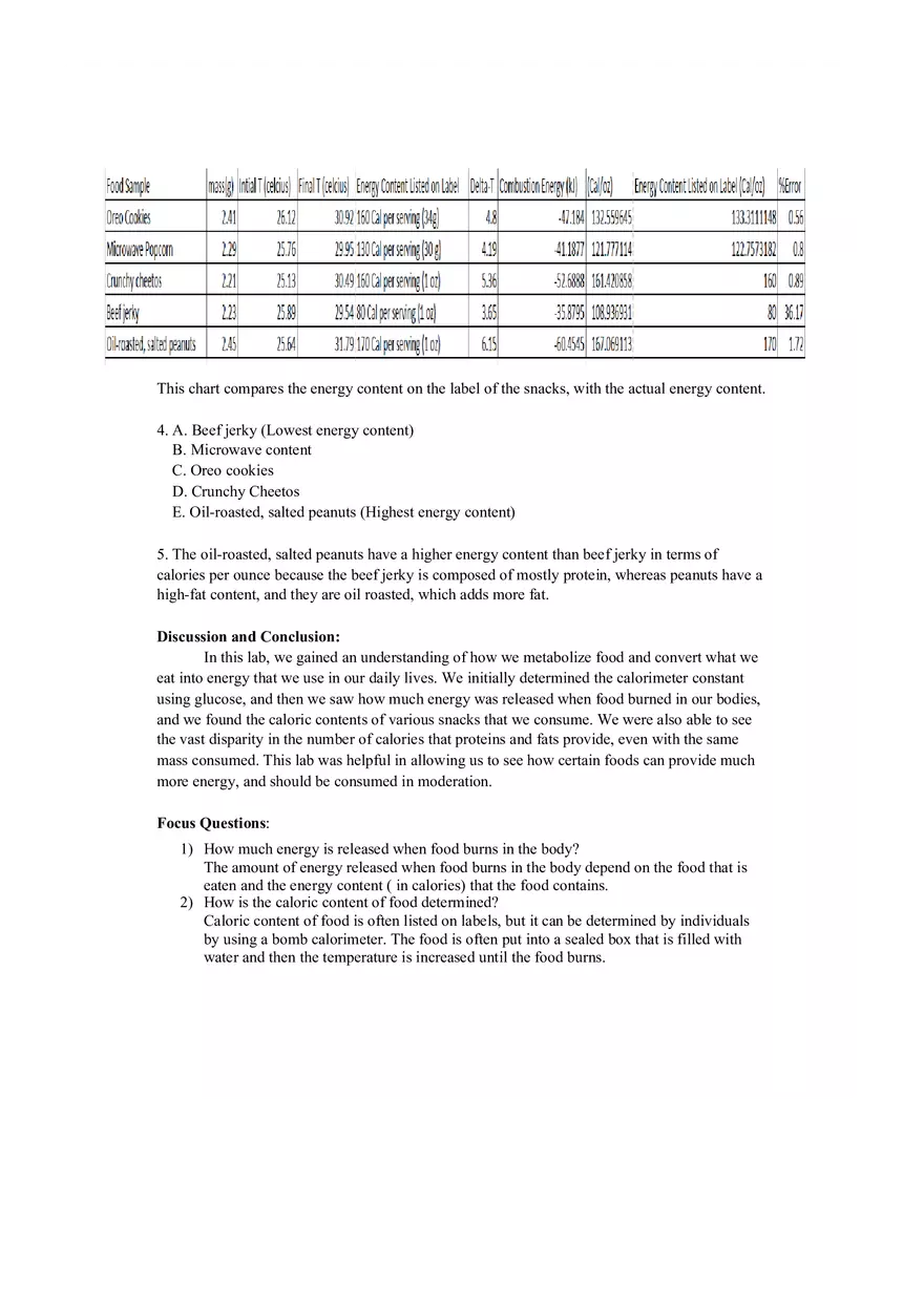 Lab 18 - Burning Food - Page 2