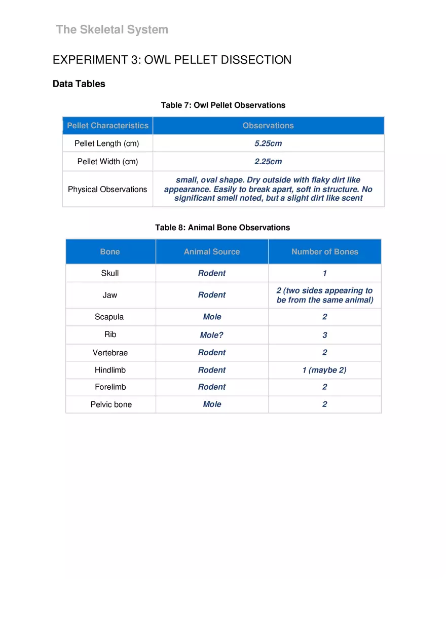Lab 6 The Skeletal System - Page 14