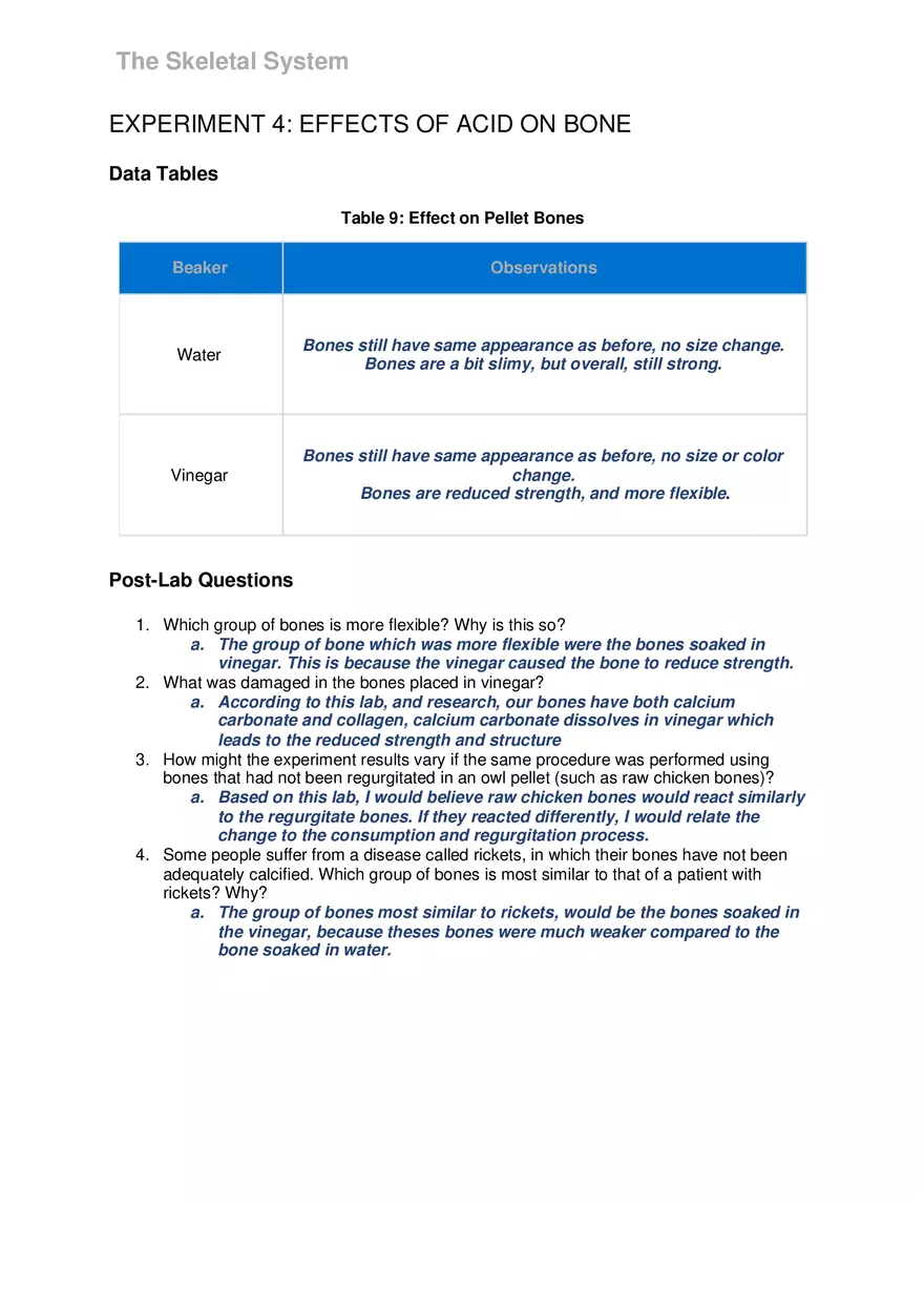Lab 6 The Skeletal System - Page 16